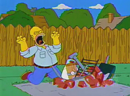 homer-bbq.jpg